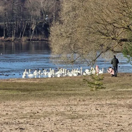 Kranto Kaunas